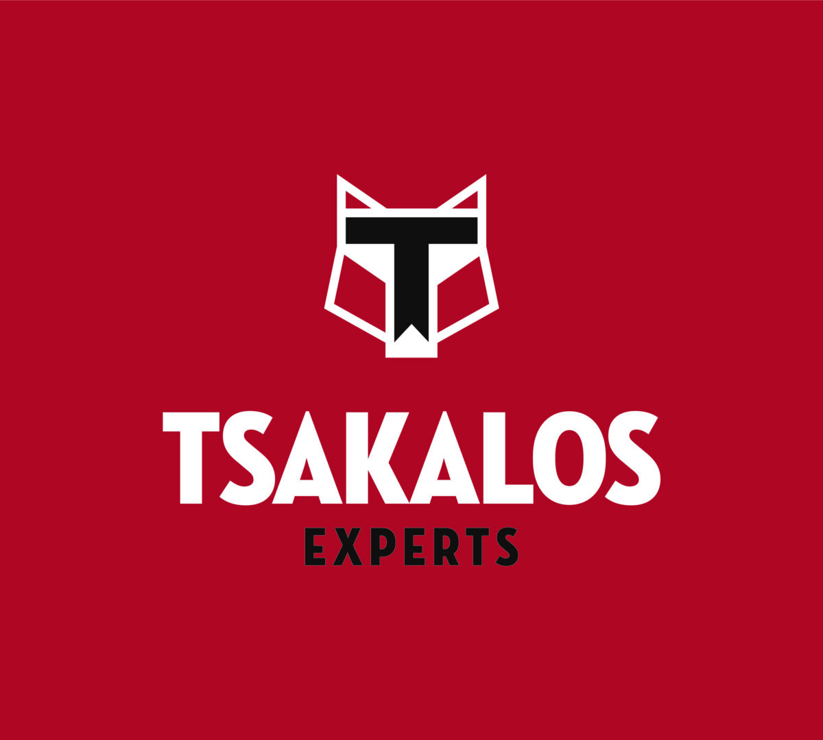 tsakalos experts logo all 03 scaled