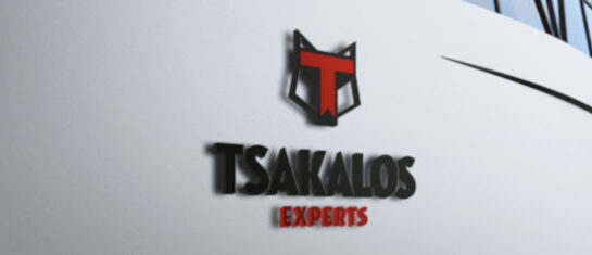 tsakalos experts