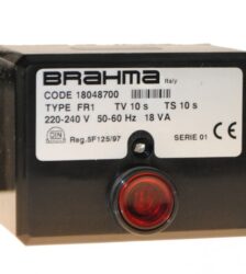 11 01 03 11 brahma fr1 800x600 1